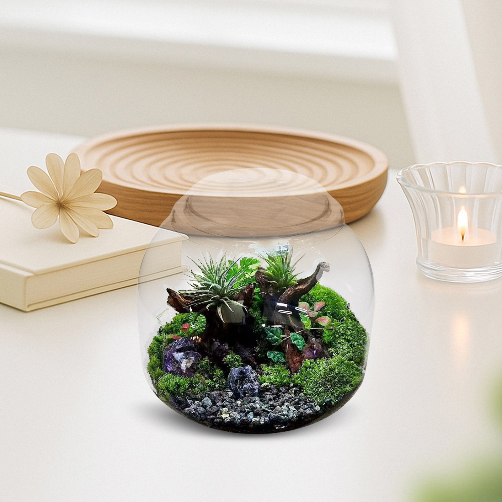 Стеклянная банка-террариум с к – обзор и цена Terrarium Glass Bottle