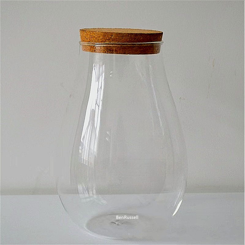Стеклянные банки для воды, сте – обзор и цена Terrarium Glass Bottle
