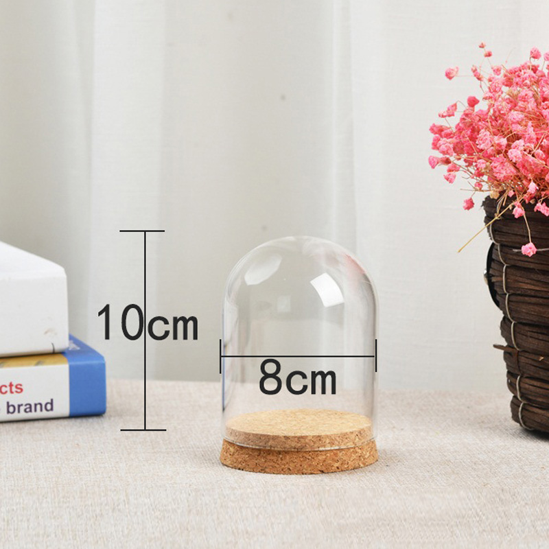 Стеклянная купольная крышка дл – обзор и цена Terrarium Glass Bottle