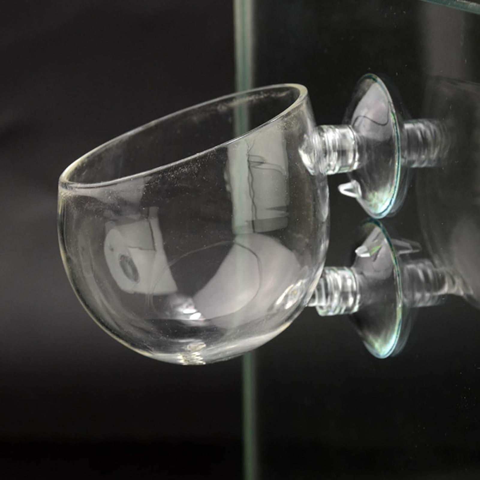 Держатель для аквариумных раст – обзор и цена Terrarium Glass Bottle