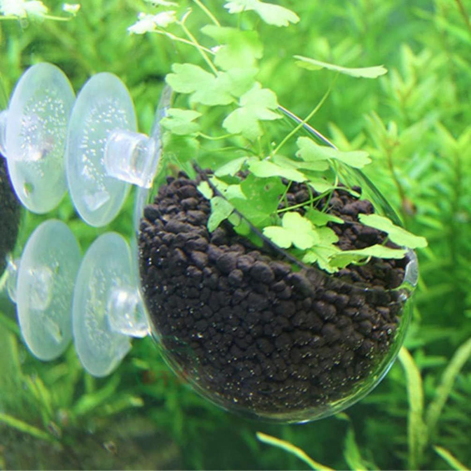 Держатель для аквариумных раст – обзор и цена Terrarium Glass Bottle