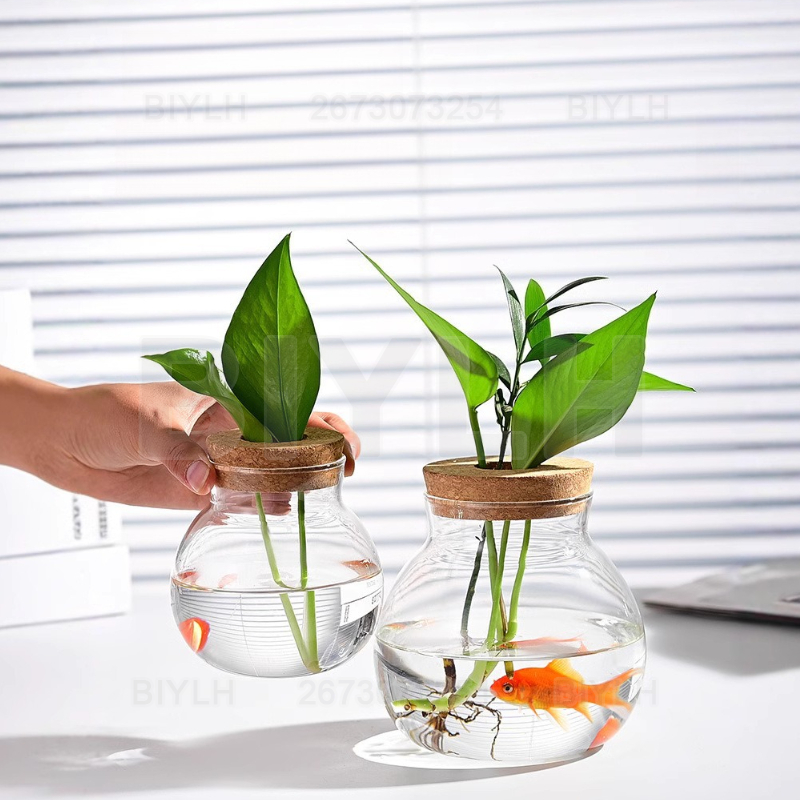 Гидропонная стеклянная ваза дл – обзор и цена Terrarium Glass Bottle