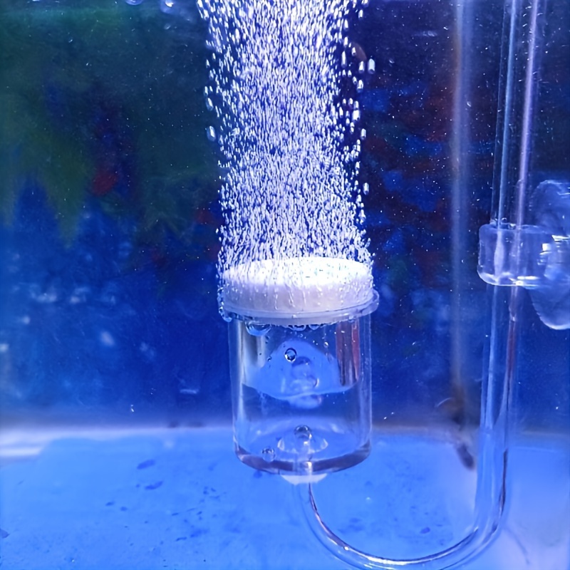 Аквариумный стеклянный распыли – обзор и цена Terrarium Glass Bottle
