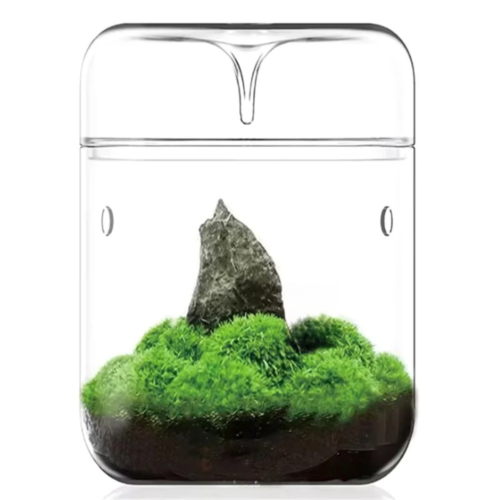 Настольный стеклянный микролан – обзор и цена Terrarium Glass Bottle