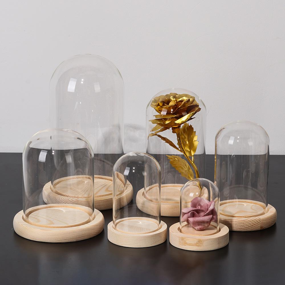 Настольный террариум с гирлянд – обзор и цена Terrarium Glass Bottle