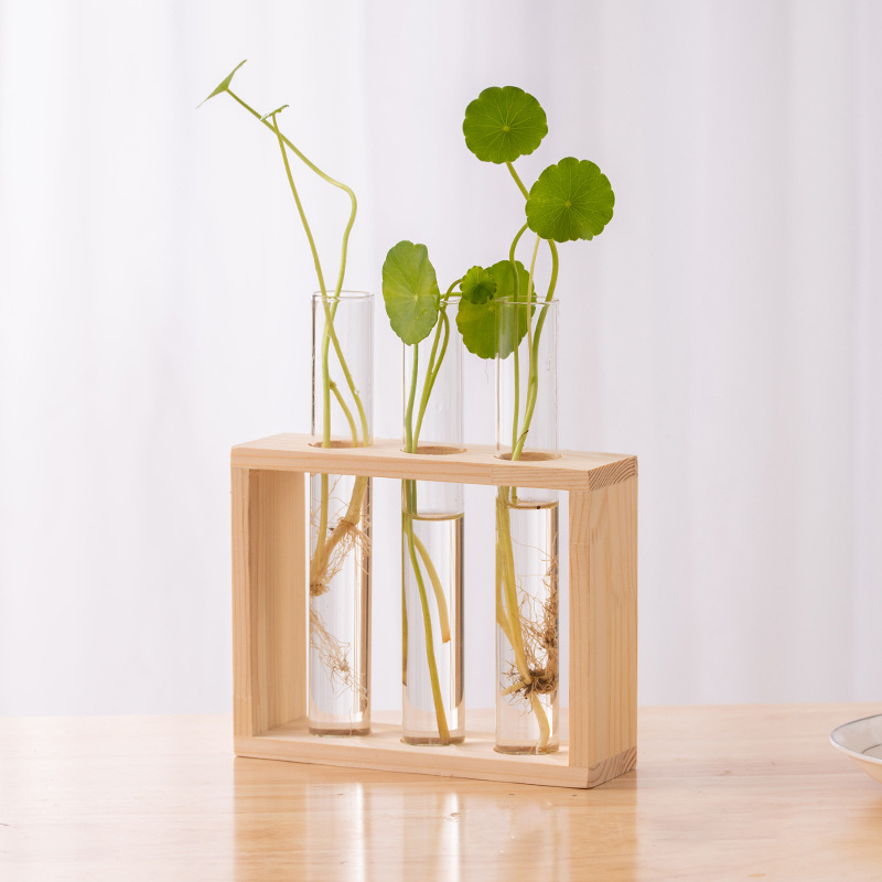 Контейнер для гидропонных раст – обзор и цена Terrarium Glass Bottle