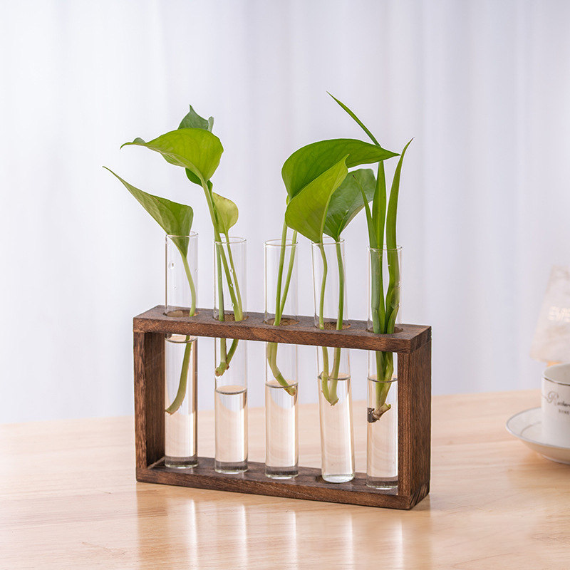 Контейнер для гидропонных раст – обзор и цена Terrarium Glass Bottle